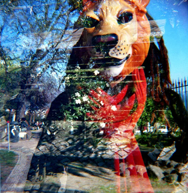 De câmara em punho / Lomografia Portugal