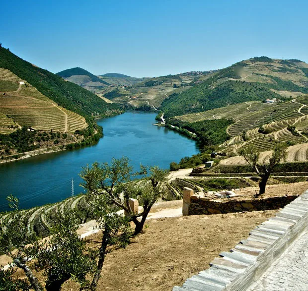 Aventure-se Douro adentro / Quinta do Pôpa