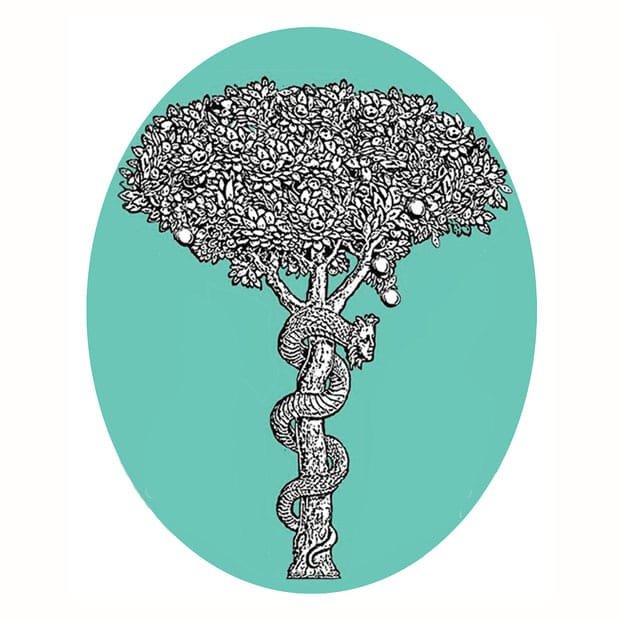 Exposição: A mulher Inimaginável