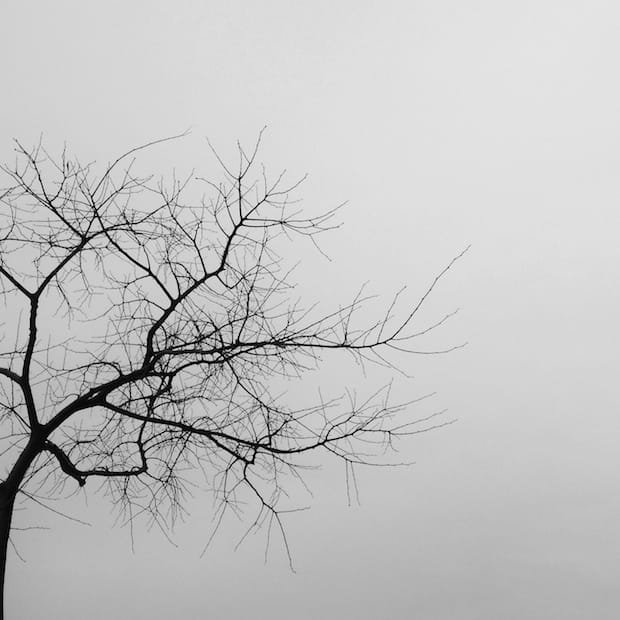 Exposição Onframe / Instagramers