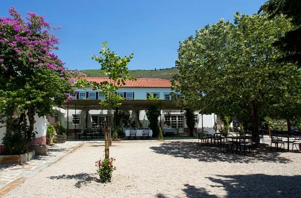 Dueto de rios à mesa da Quinta Nova de Nossa Senhora do Carmo