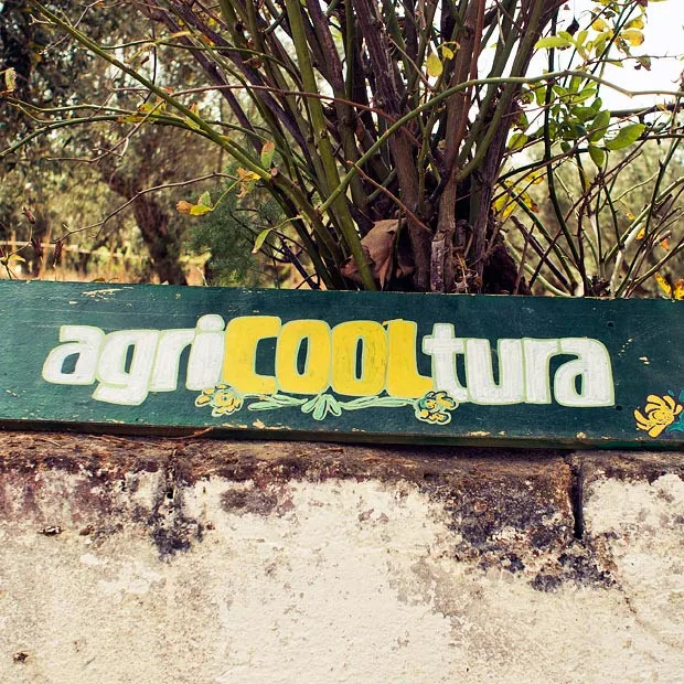 Os sabores da terra. A sabedoria do Homem / Herdade do Freixo do Meio
