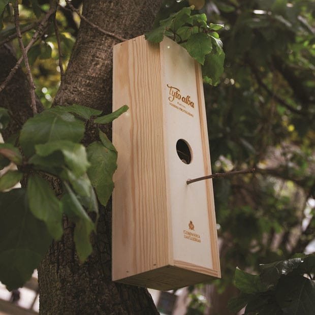 Rita Rivotti, o Tyto Alba e o “óscar” do design