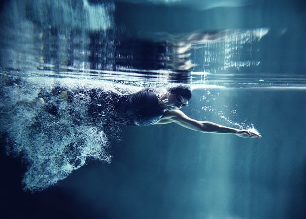 “Biomimesis: o desenho inspirado na natureza” / Roca Lisboa Gallery