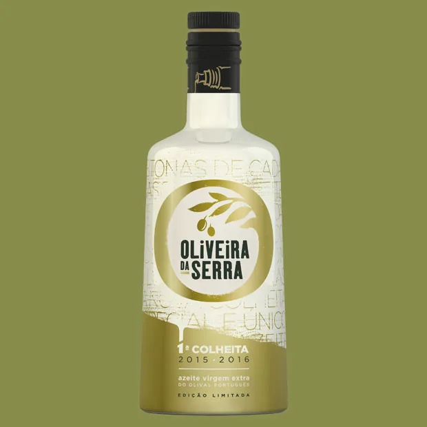 Fruto das primeiras azeitonas / Oliveira da Serra
