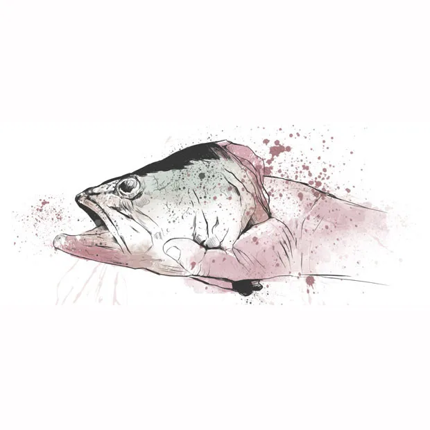 Cozinheiros à prova no maior desafio português