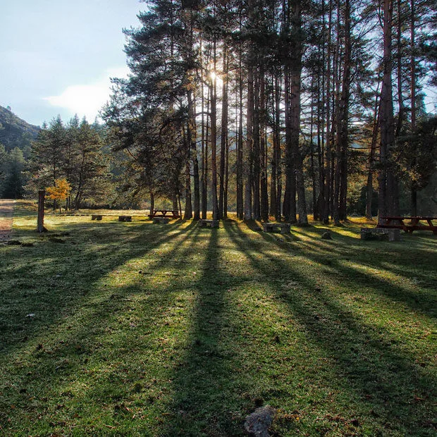 Pegada Zero: Da mesa à natureza vai um passo