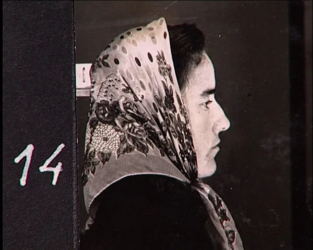 Natureza Morta, de Susana de Sousa Dias