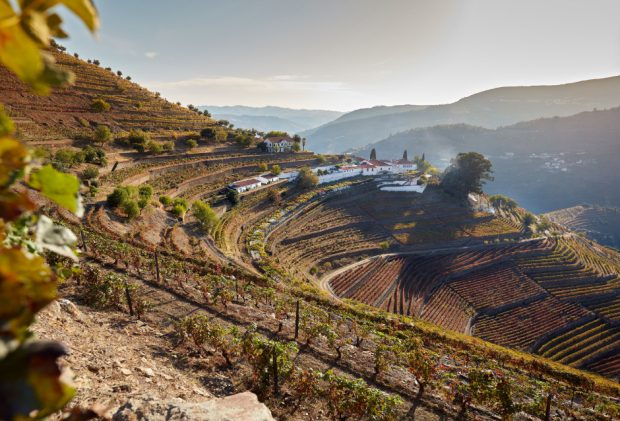 Quinta do Noval, uma ode à narrativa do Vinho do Porto