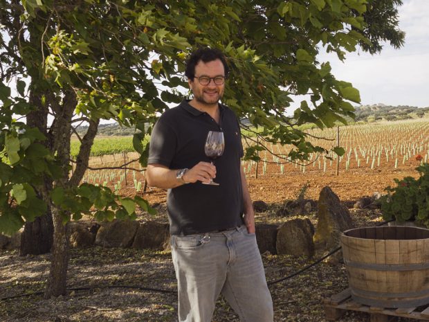 Duas décadas dedicadas à terra, às castas e ao vinho / Diogo Lopes