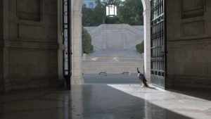 'O Palácio de Cidadãos', de Rui Pires (2024)