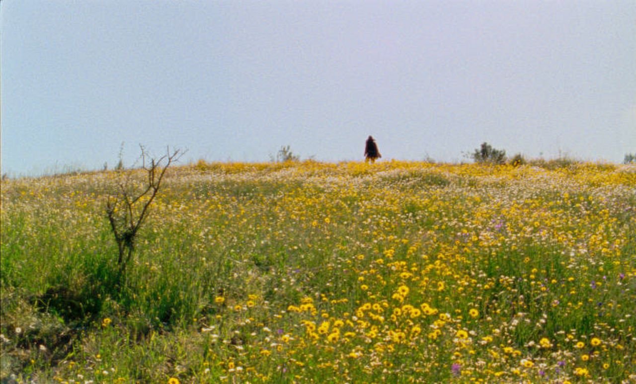 Panorâmicas da circularidade do tempo