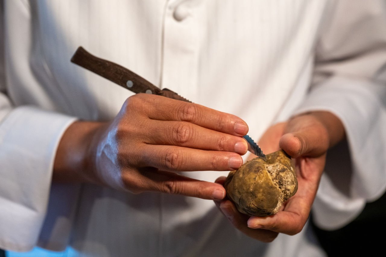 Trufa branca de Alba em Lisboa