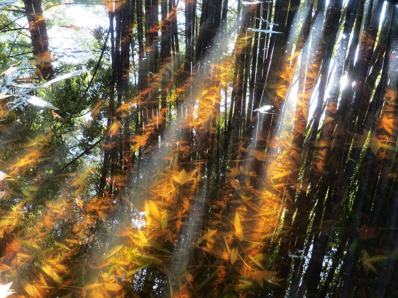 Pedro & Inês, o menu dos 30 anos do Hotel Quinta das Lágrimas