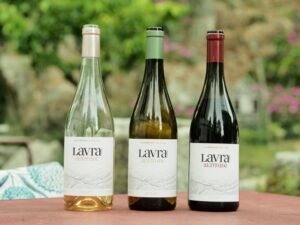 Lavra Altitude: Rosé, Branco e Tinto / Lavradores de Feitoria